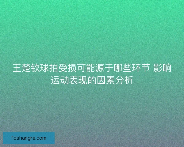王楚钦球拍受损可能源于哪些环节 影响运动表现的因素分析