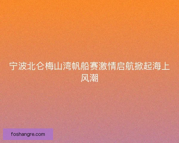 宁波北仑梅山湾帆船赛激情启航掀起海上风潮